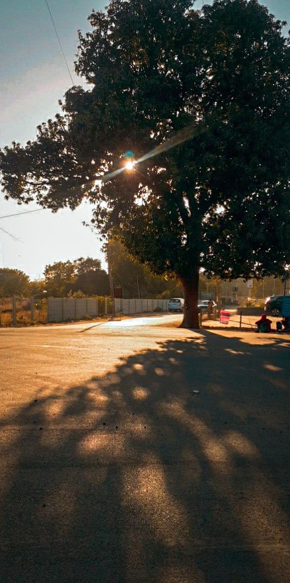 the sun shines brightly on an empty parking lot next to a tree and fence