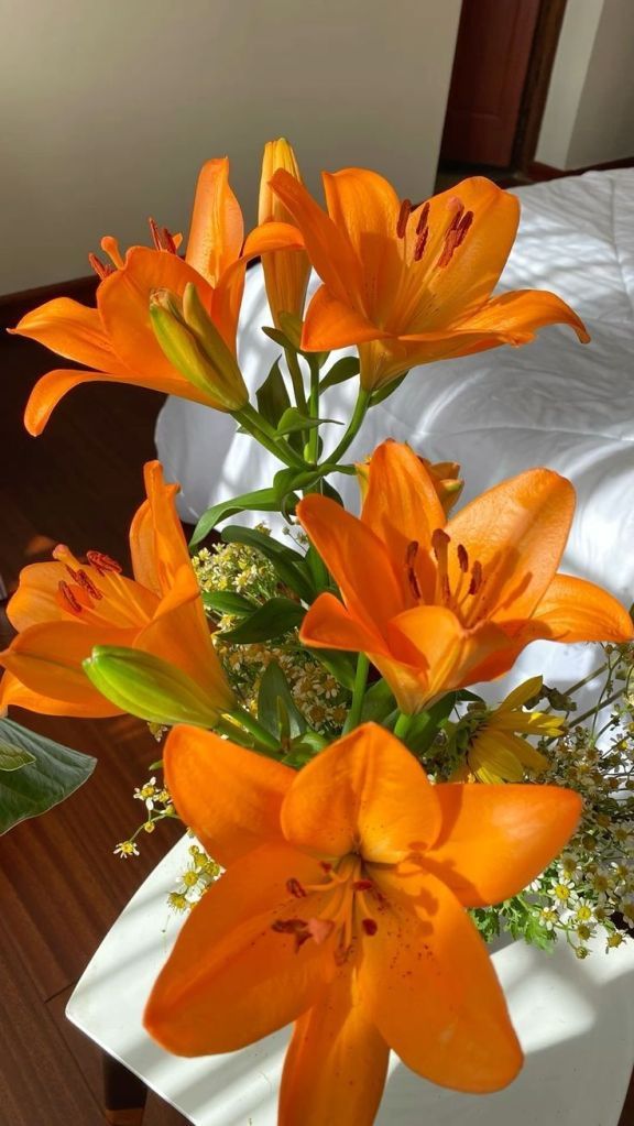 Orange Lillie’s, Lily Flower Orange, Lilies Flowers Aesthetic, Orange Lily Bouquet, Orange Flower Aesthetic, Orange Flowers Aesthetic, Lily Flower Aesthetic, Orange Lily Flower, Orange Lilies