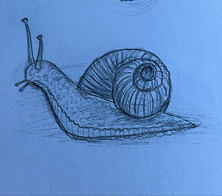 a drawing of a snail sitting on top of a piece of paper with another snail in the background