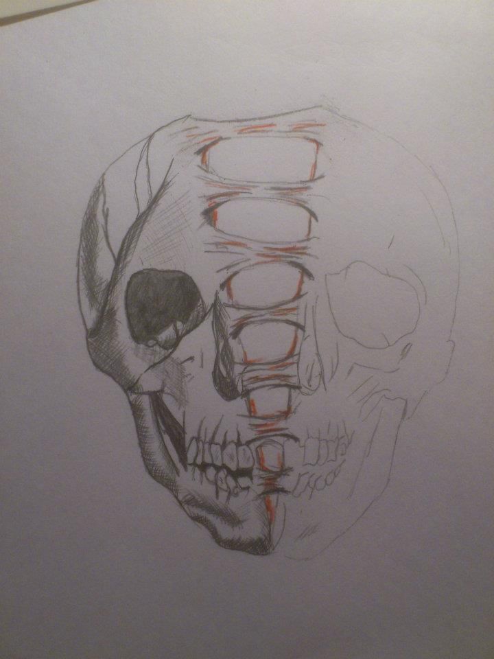 a drawing of a human skull on white paper