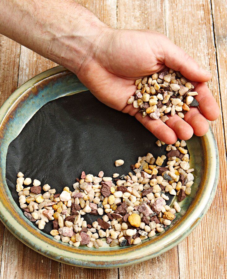 a person holding their hand over a bowl filled with seeds