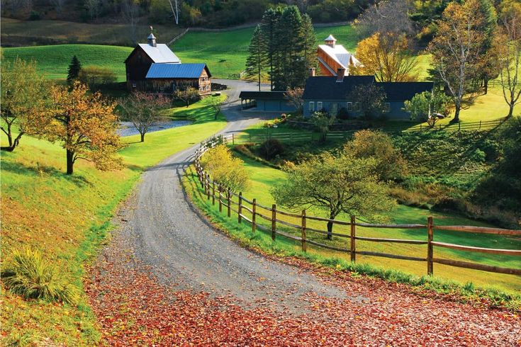 a rural country road surrounded by autumn foliage