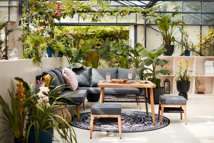 a living room filled with lots of plants next to a couch and table on top of a rug