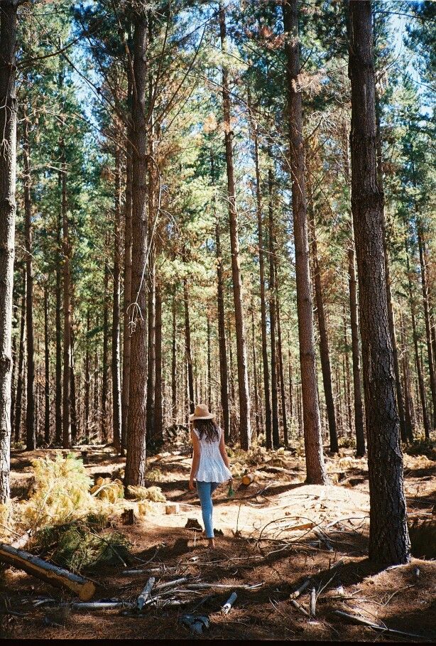 a woman walking through the woods with trees