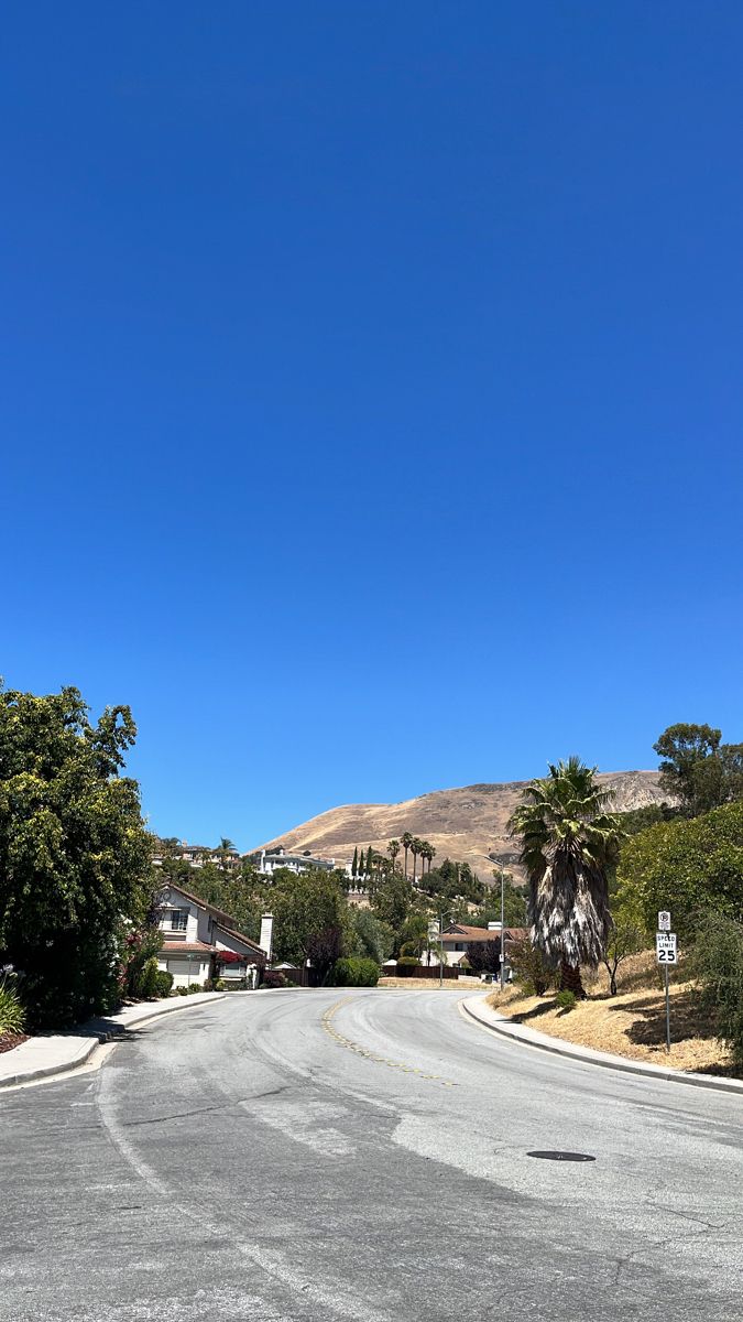 an empty street with palm trees on both sides and houses to the side in the distance