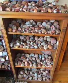 a wooden shelf filled with lots of rocks