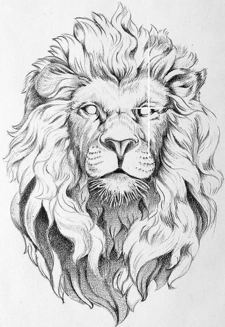 a drawing of a lion's head with flames coming out of its manes