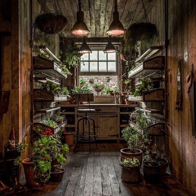 an open kitchen area with potted plants on the counter and hanging lights above it