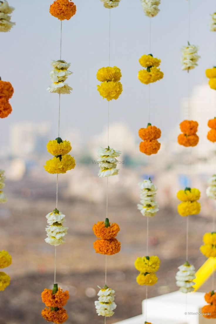 flowers hanging from strings in front of a large window with cityscape in the background