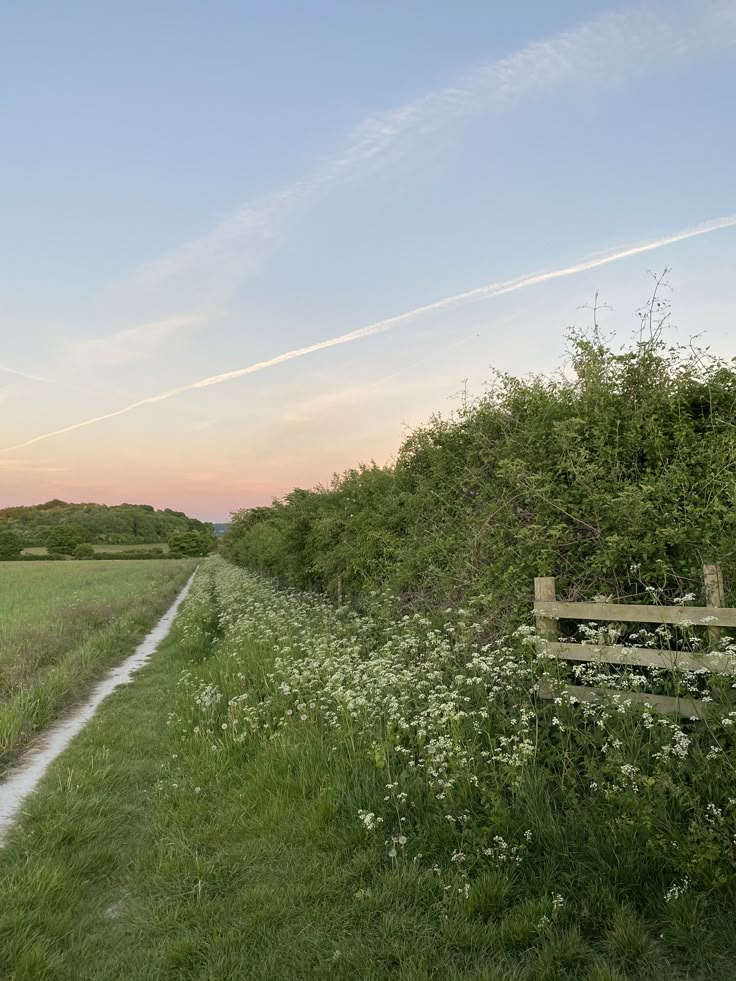 a wooden bench sitting on the side of a lush green field next to a dirt road