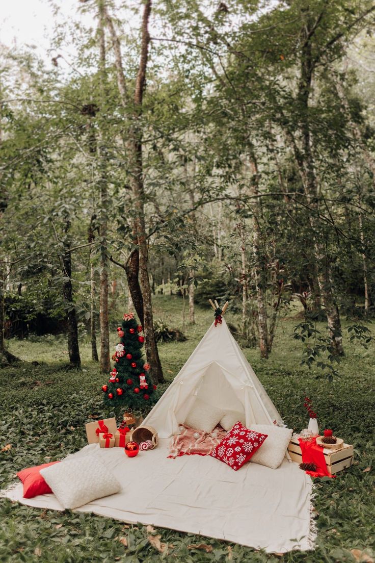 a teepee is set up in the woods with red pillows and blankets on it