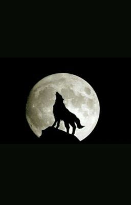 a wolf standing on top of a hill with the moon in the background