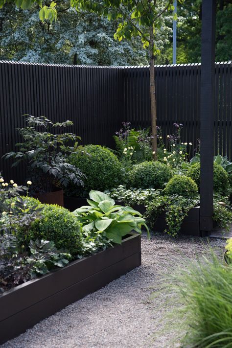 a garden filled with lots of plants next to a tall wooden fence on top of gravel