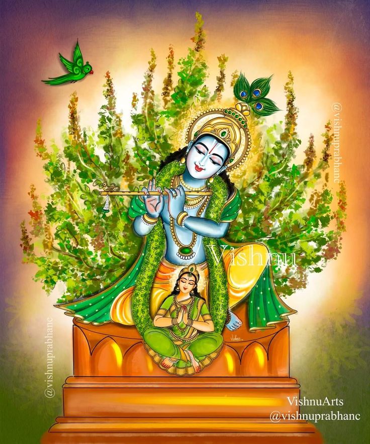 Aandal Krishna, Tulsi Plant Drawing, Vishnu Painting, Kartik Month, Krishna Tulsi, Tulsi Vivah, Poster Rangoli, Tulsi Plant, Sacred Union