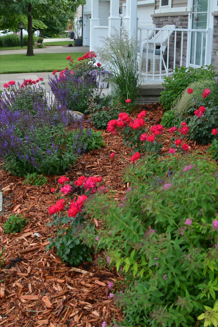 the front yard is full of colorful flowers and plants, along with mulchy mulch