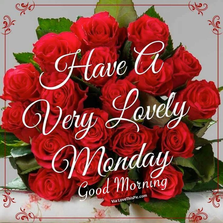 a bouquet of red roses with the words have a very lovely monday good morning