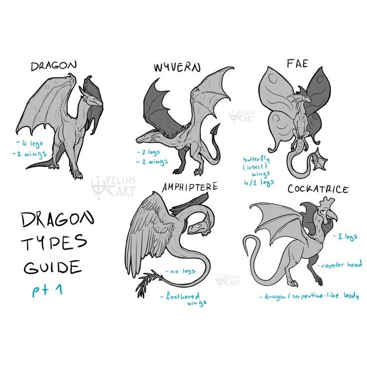 how to draw a dragon's body and head in different poses, from the side view