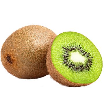 two kiwis cut in half on a white background