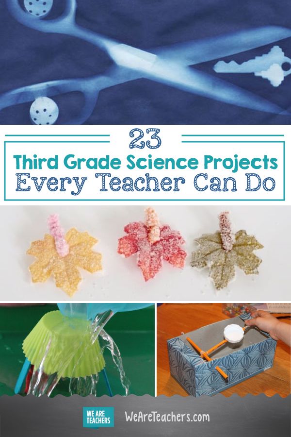 the cover of 25 third grade science projects every teacher can do, with pictures of different objects