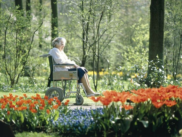 an elderly woman sitting in a wheel chair on a park bench surrounded by flowers and trees