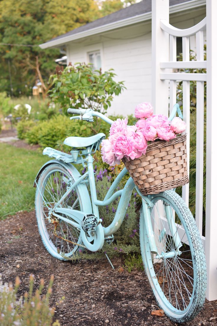 a blue bicycle with pink flowers in the basket parked next to a white picket fence