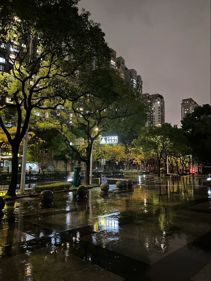 a city street at night with lots of trees in the foreground and rain on the ground