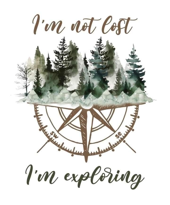 the words i'm not lost, i'm exploring and trees