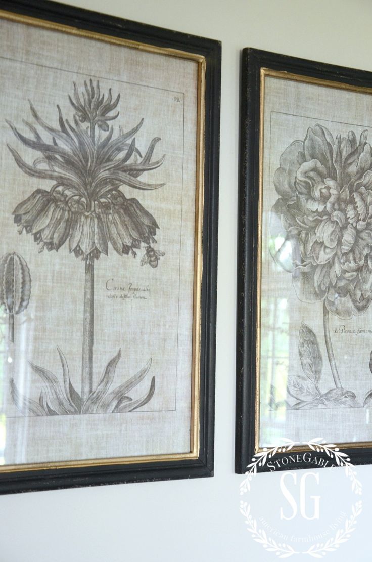 two framed pictures hanging on the wall next to each other with flowers drawn on them