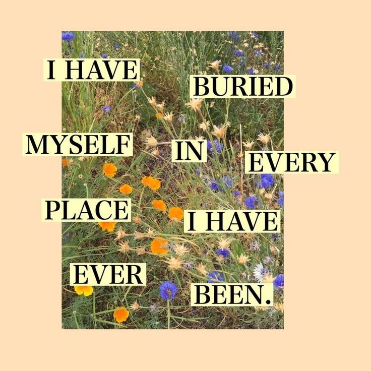 the words i have buried myself in every place i have ever been written on flowers