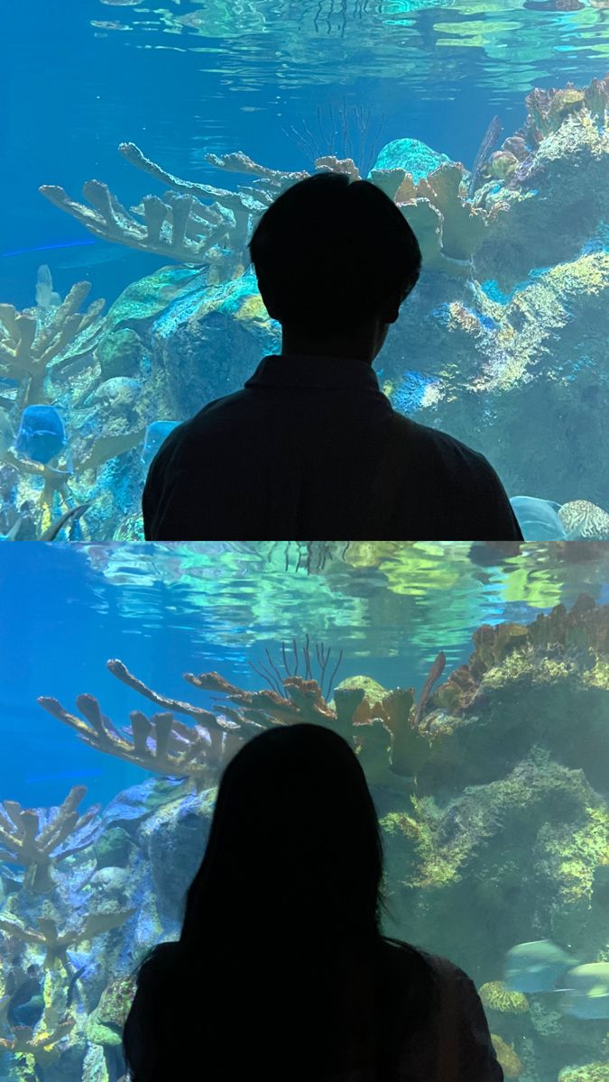 two people looking at an aquarium full of fish