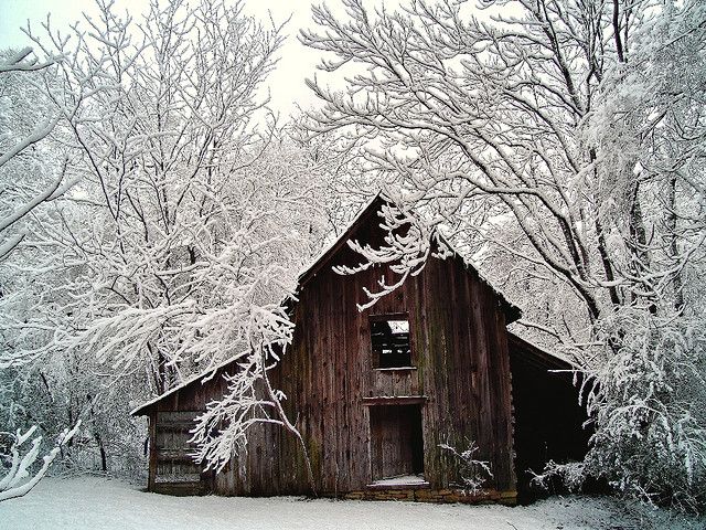 an old wooden barn surrounded by trees covered in snow