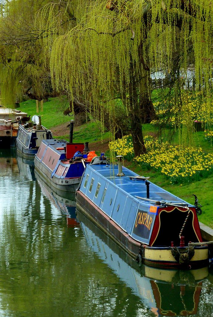 several boats are parked along the side of a river