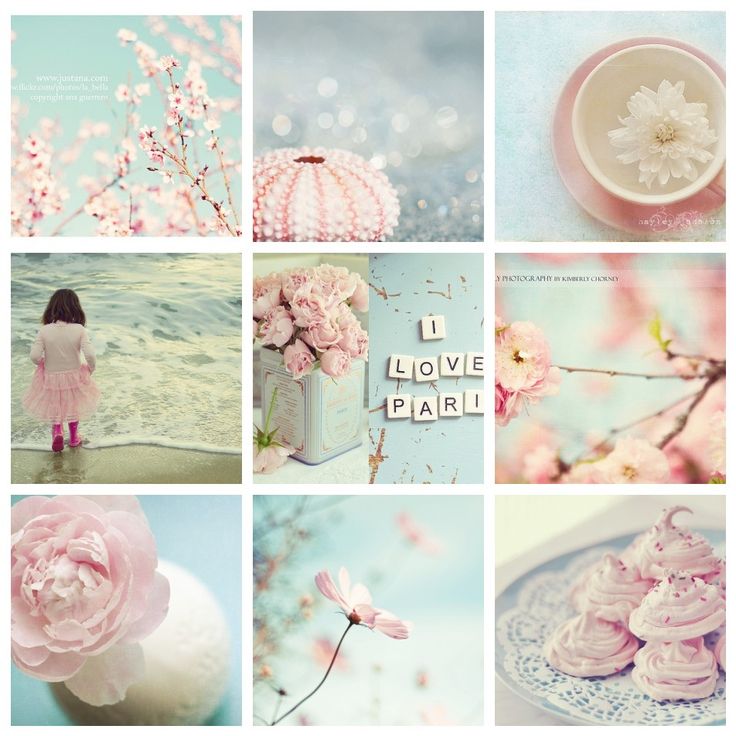 a collage of pink flowers and cupcakes