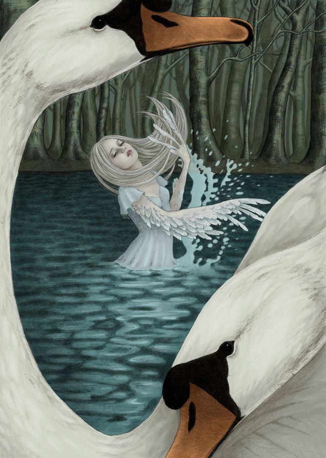 two white swans are in the water with their heads touching each other's necks