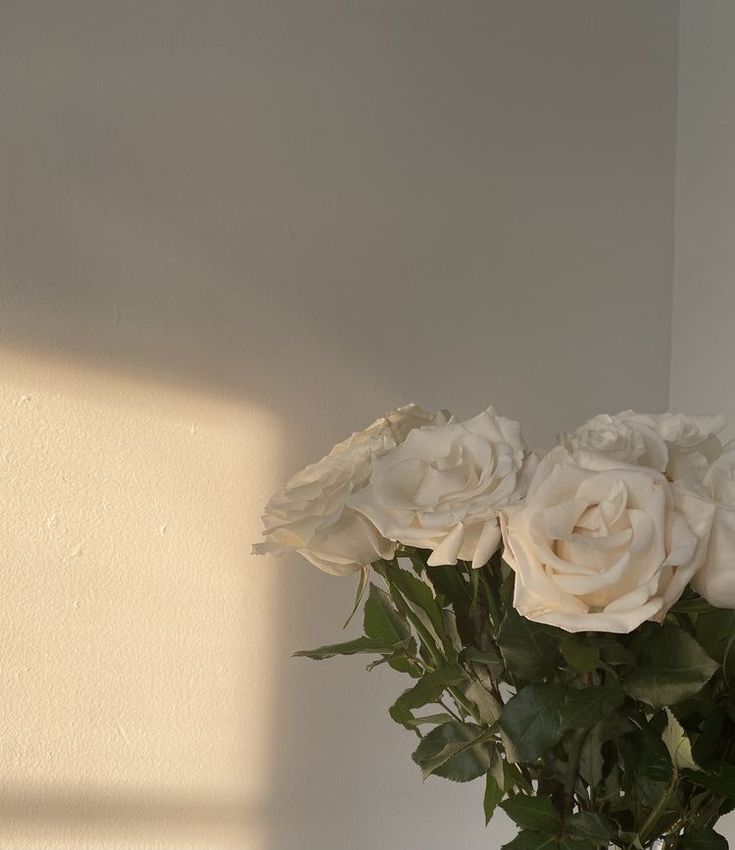 a vase filled with white roses on top of a table