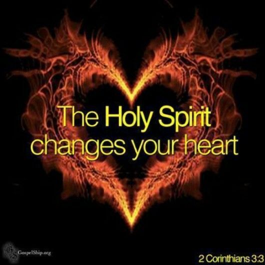 Romans 5:5 And hope makes not ashamed; because the love of God is shed abroad in our hearts by the Holy Ghost which is given to us. Romans 5 5, Woord Van God, Ayat Alkitab, Jesus Christus, Holy Ghost, The Holy Spirit, Jesus Is Lord, God Jesus, Spiritual Inspiration