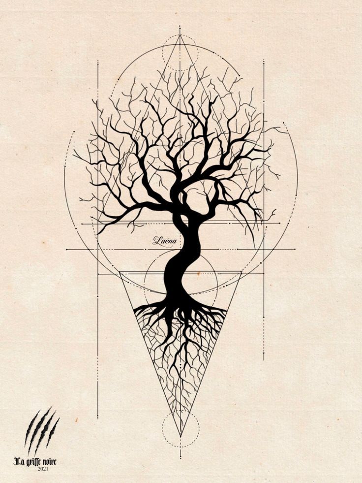 a drawing of a tree with its roots in the shape of a triangle