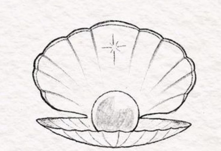 a drawing of a shell with a star in the middle on it's side