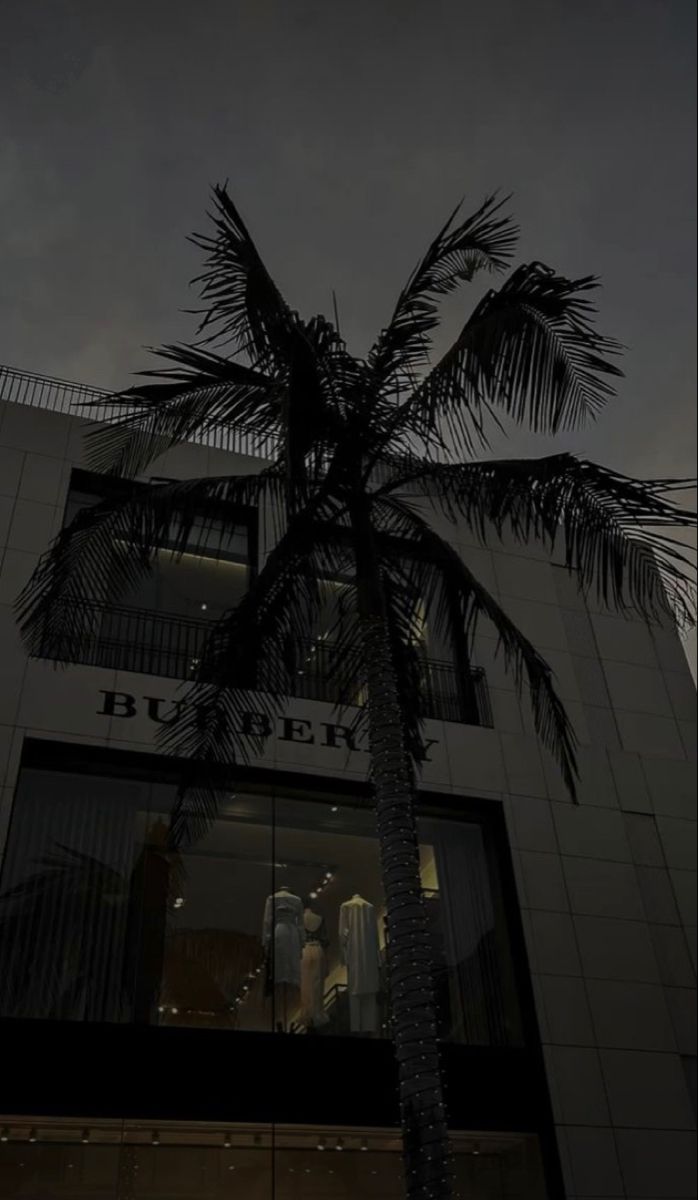 a tall palm tree sitting in front of a building with lights on it's windows