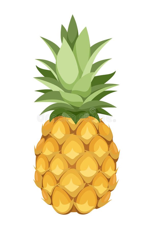 a pineapple fruit with green leaves on the top and bottom, isolated on a white background