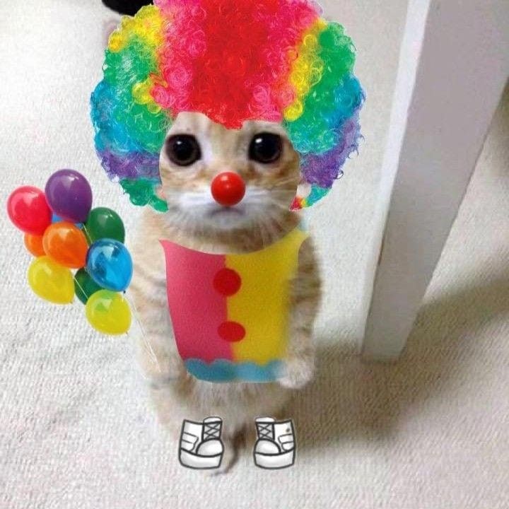 a small kitten wearing a clown wig and holding balloons