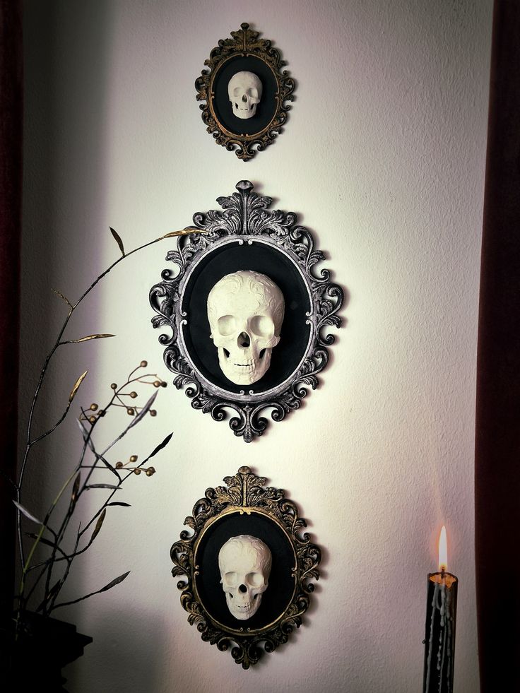 two framed skulls are on the wall next to a candle and some branches in a vase