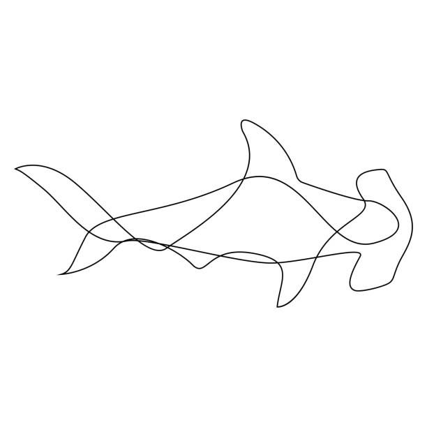 a line drawing of a fish