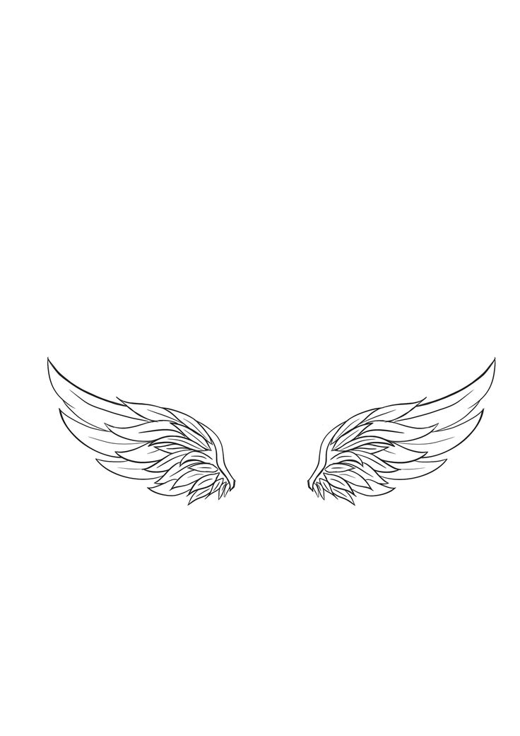 an image of wings drawn in black and white