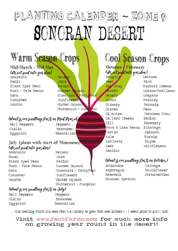 a poster with the names of different types of vegetables and their roots on it's side