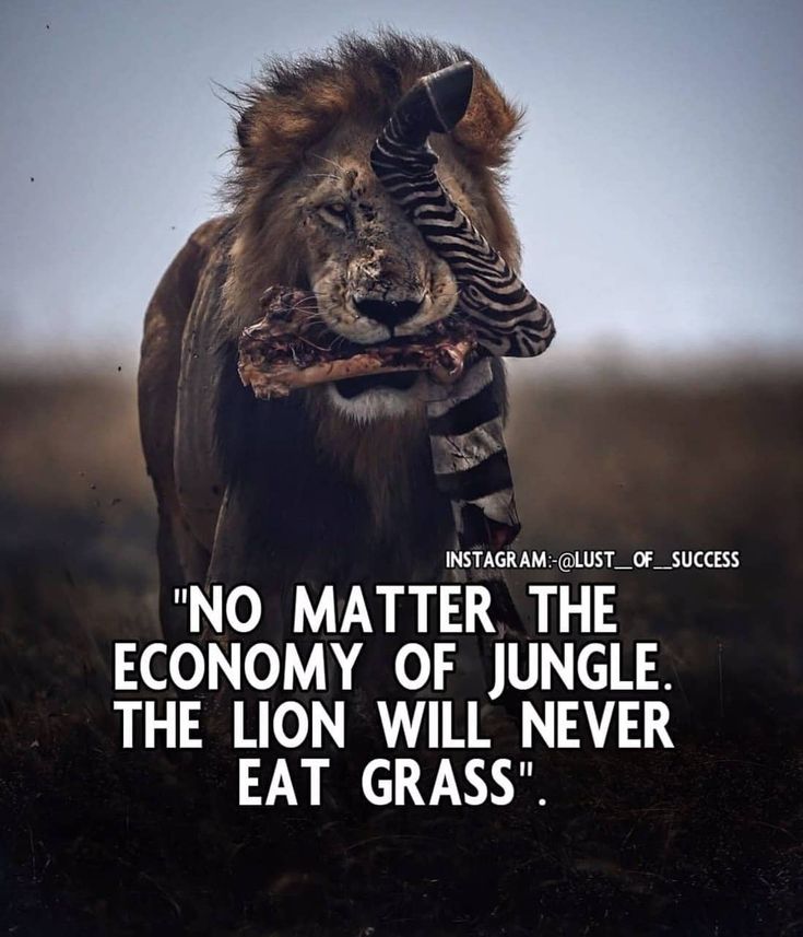 a lion with its mouth open and the caption good morning no matter the economy of jungle, the lion will never eat grass