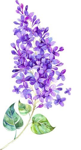 a painting of purple flowers with green leaves