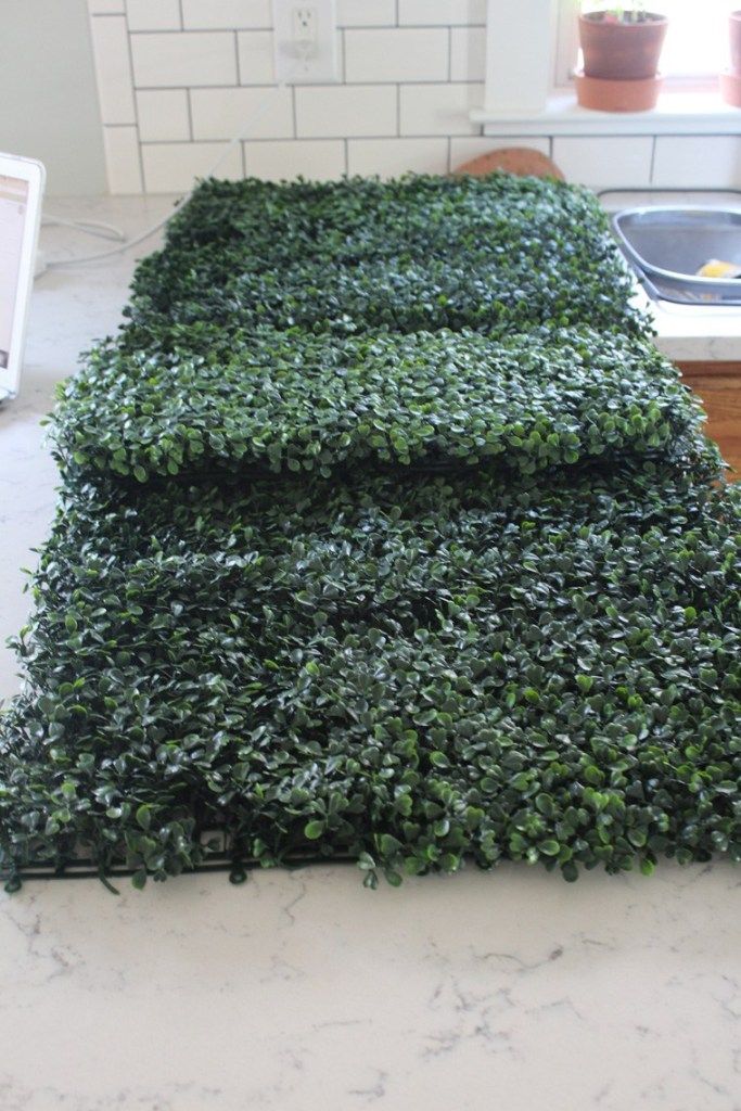 the kitchen counter is covered with green plants