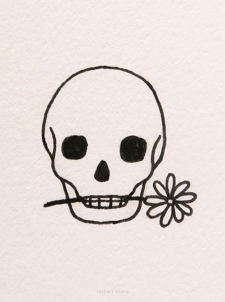 a drawing of a skull with a flower in its mouth