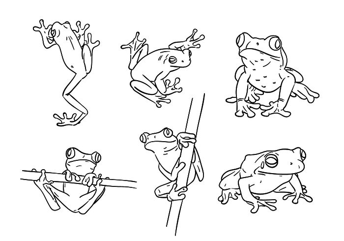 frogs and toades coloring pages for kids to print out, color in or color